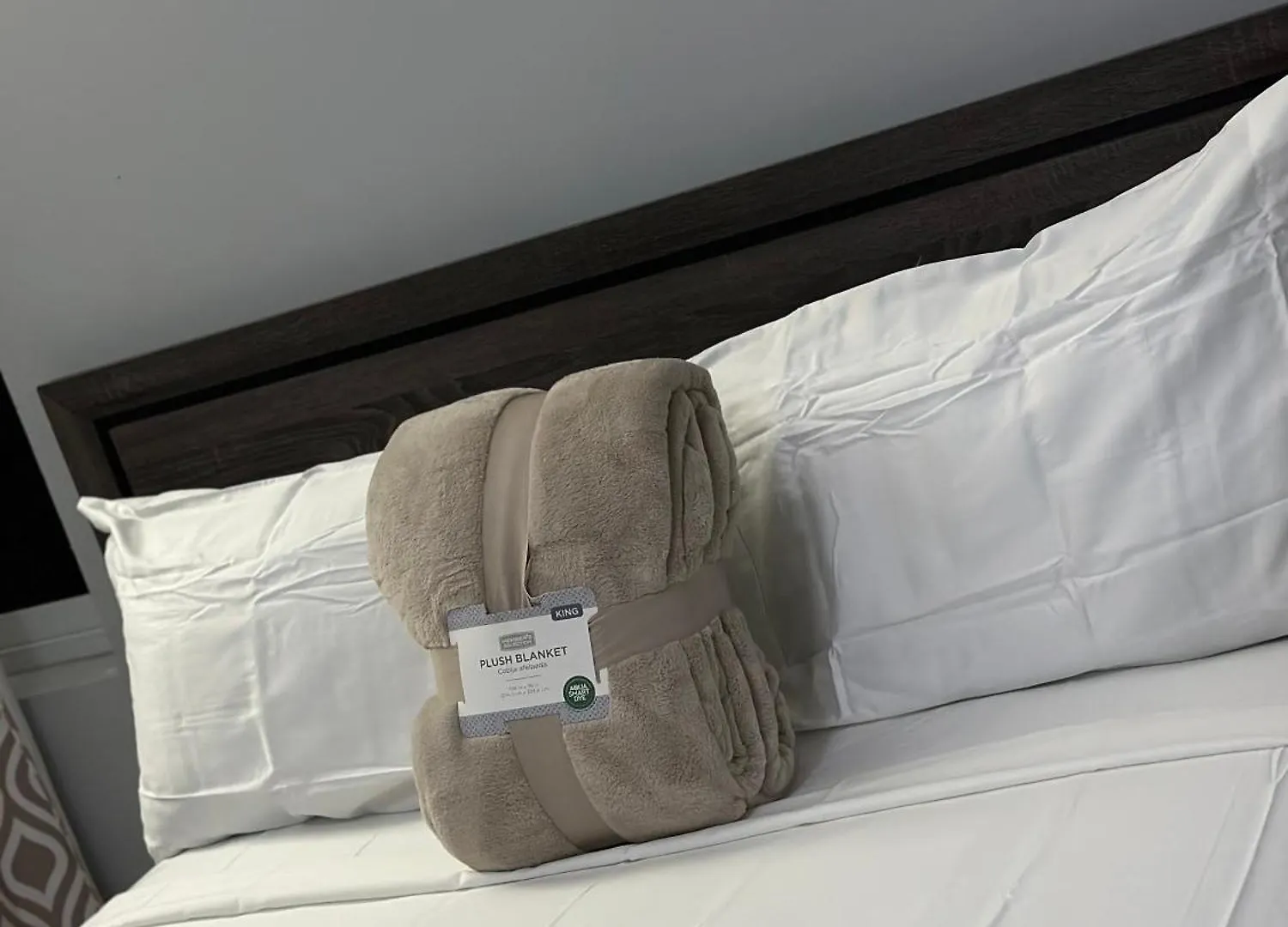 Homestay Serenity Suites Kingston